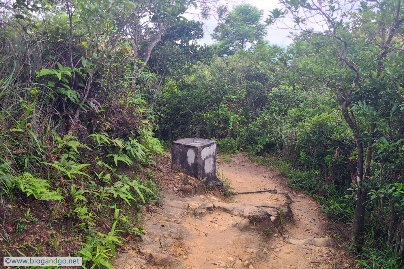 Choi Hung to Lion Rock - Military Marker Stone